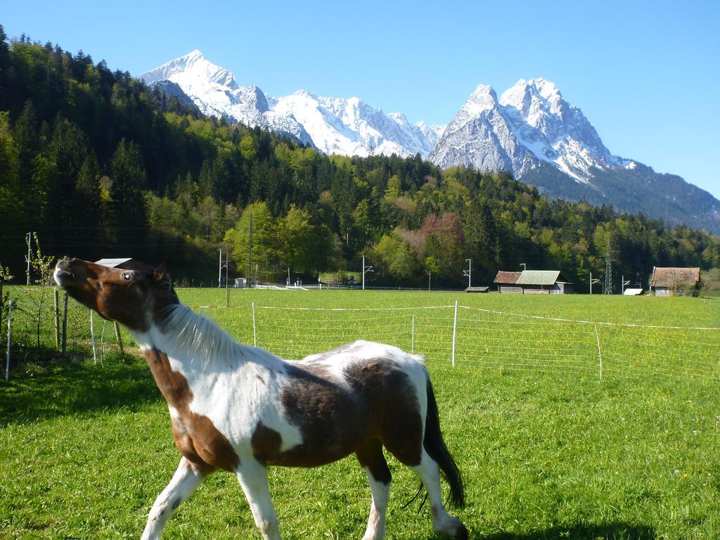 Gaestehaus Andreas Hofer 3*